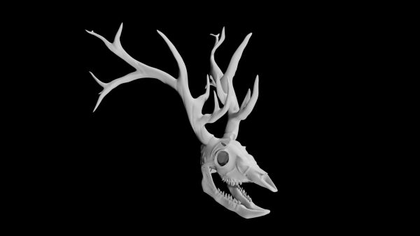 Deer skull 3d model
