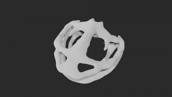 Frog skull 3d model