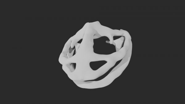 Frog skull 3d model