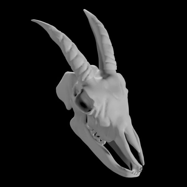 Goat skull 3d model