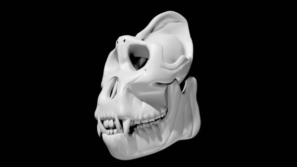 Gorilla skull 3d model