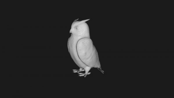 Horned owl 3d model