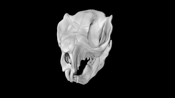 Koala skull 3d model