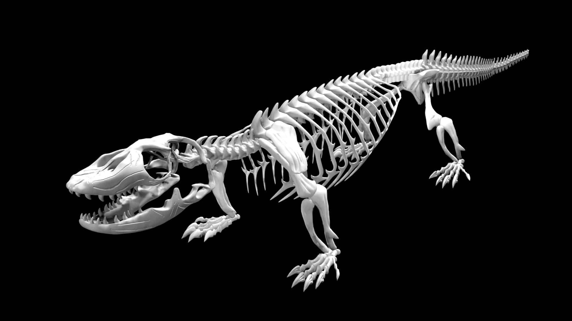Komodo Dragon Skeleton 3d Model Rigged And Low Poly