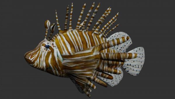 Lion fish 3d model
