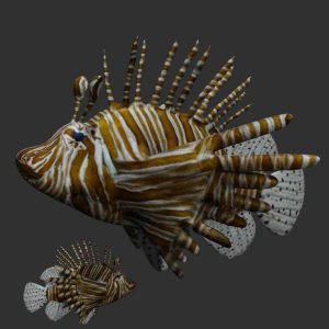 Lion fish 3d model