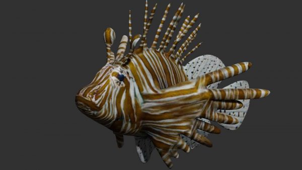 Lionfish 3d model