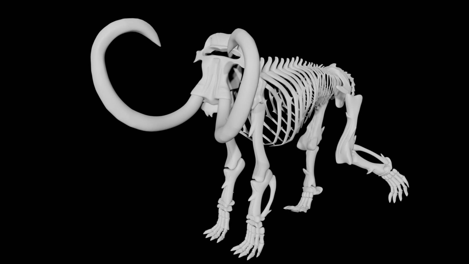 Mammoth skeleton 3d model Rigged and Low Poly - Team 3d Yard