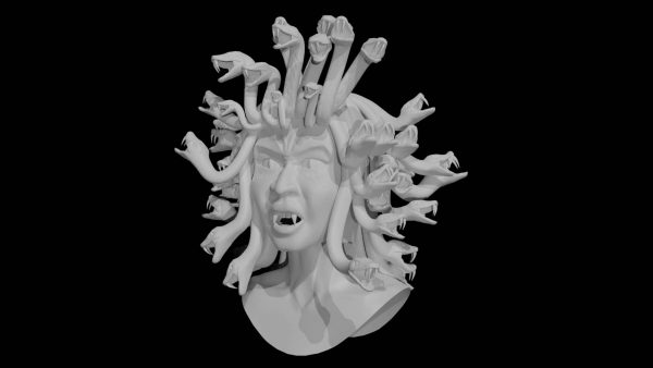 Medusa head 3d model