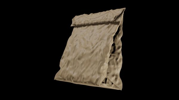 Paper bag 3d model