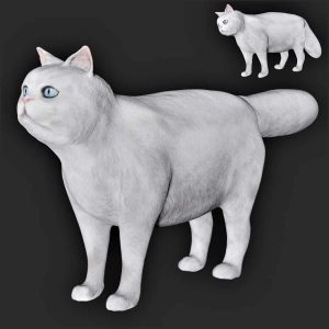 Persian white cat 3d model