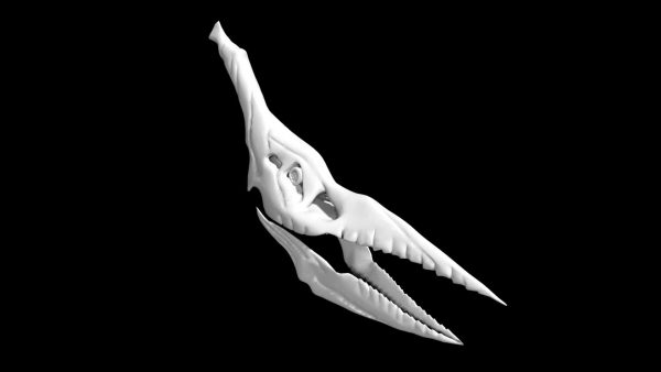 Pterodactyl skull 3d model