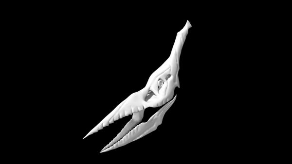 Pterodactyl skull 3d model