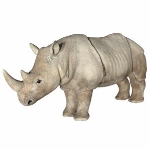 Rhinoceros 3d model