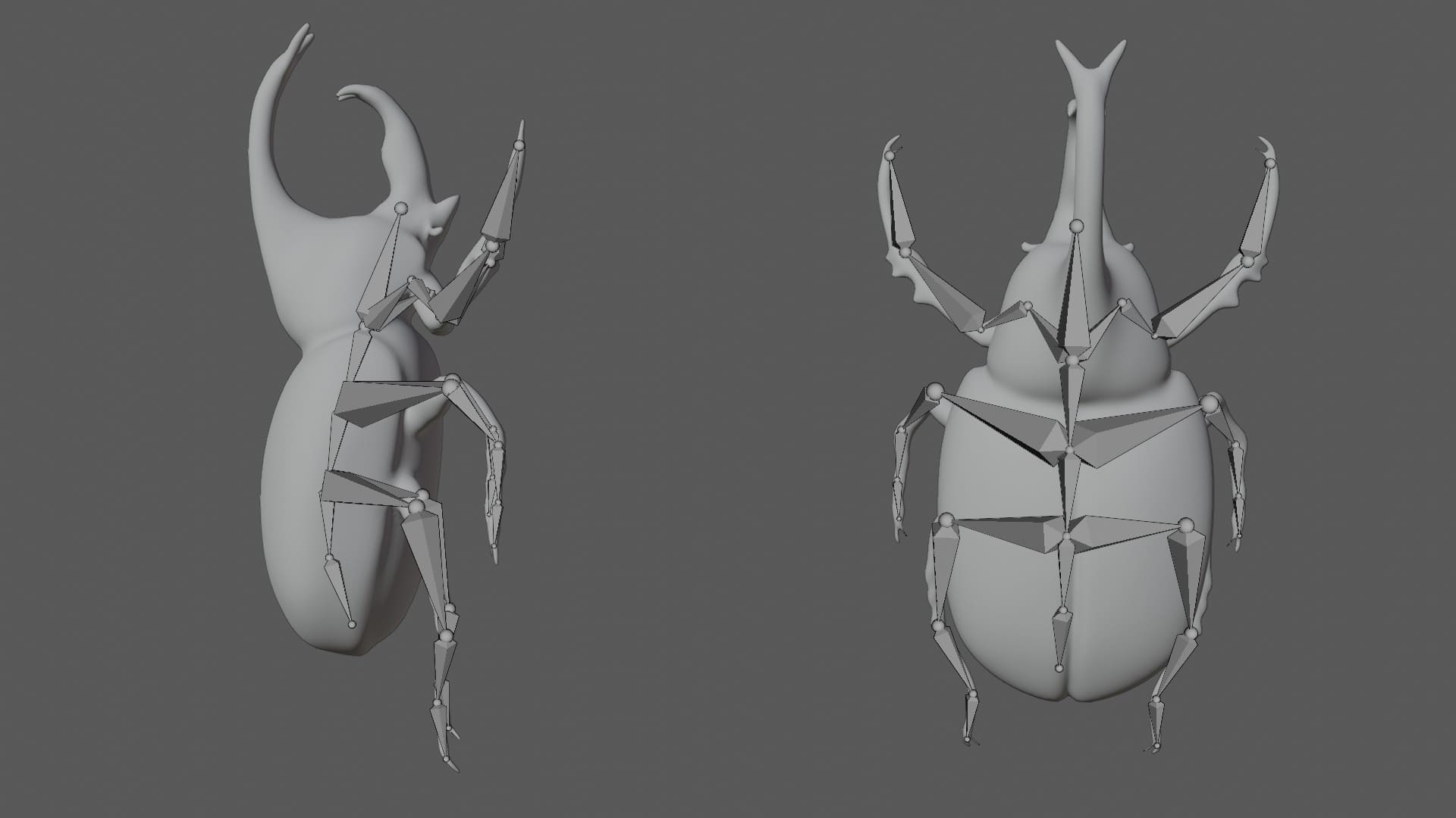 Rhinoceros Beetle 3D Pen Stencil - 3Doodler