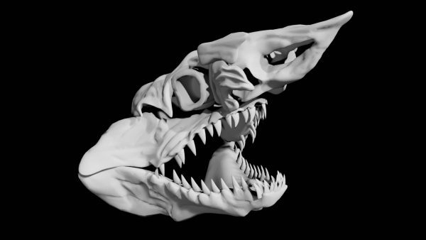 Shark skull 3d model
