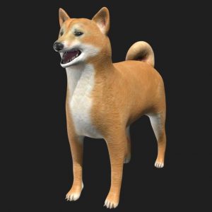 Shiba inu dog 3d model