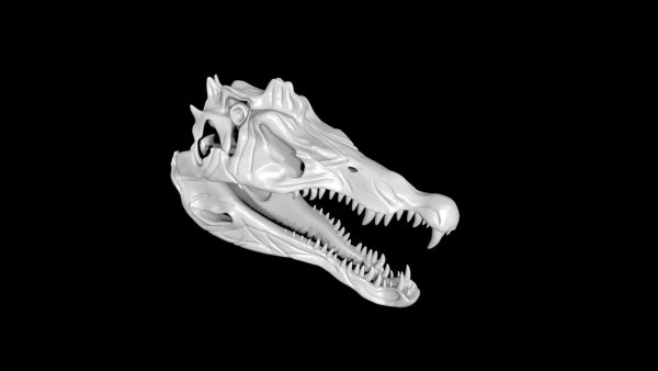 Spinosaurus skull 3d model
