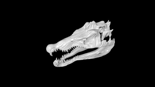 Spinosaurus skull 3d model