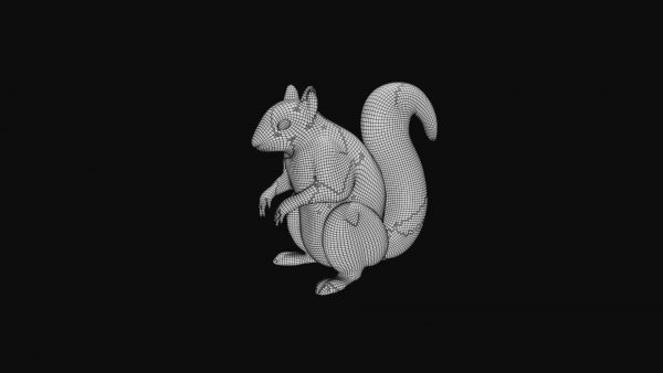 Squirrel 3d model