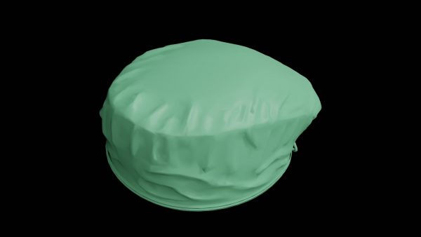 Surgical cap 3d model
