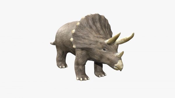 Triceratops dinosaur 3d model