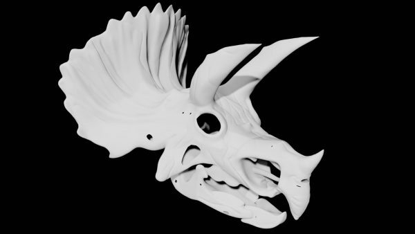 Triceratops skull 3d model