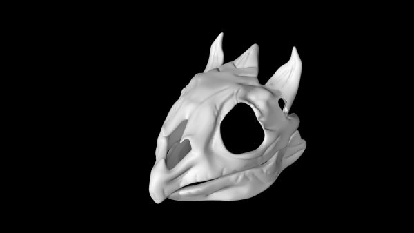 Turtle skull 3d model