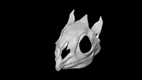 Turtle skull 3d model