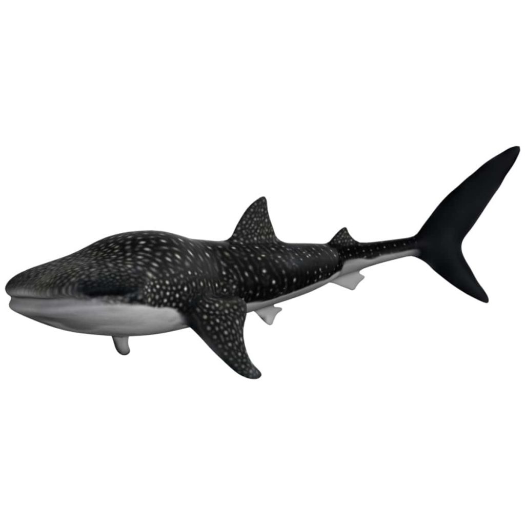 Whale shark 3d model Rigged and Low Poly - Team 3d Yard