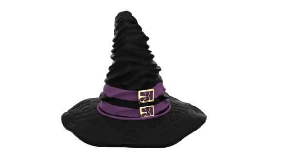 Wizard hat 3d model