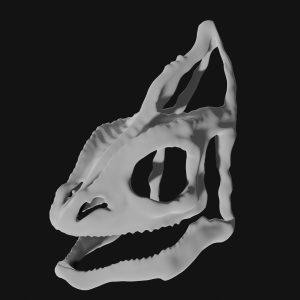 Chameleon skull 3d model