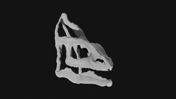 Chameleon skull 3d model