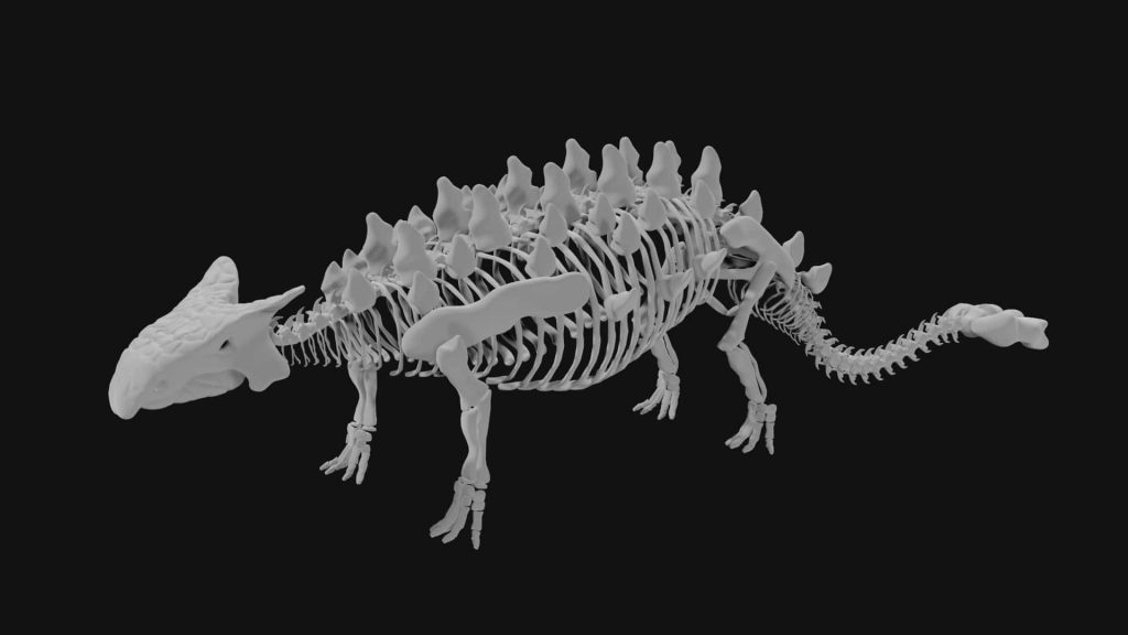 Ankylosaurus skeleton 3d model Low Poly