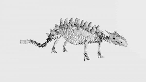 Ankylosaurus skeleton 3d model