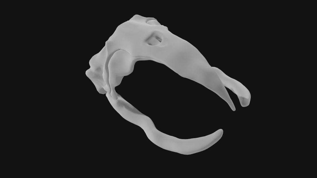 Bowhead Whale Skull 3d Model - Team 3d Yard