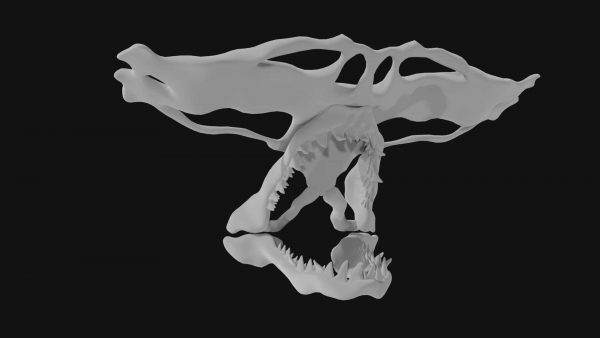 Hammerhead whale skull 3d model