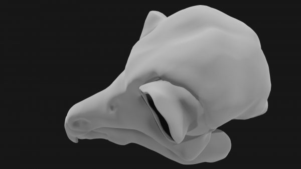 Owl skull 3d model