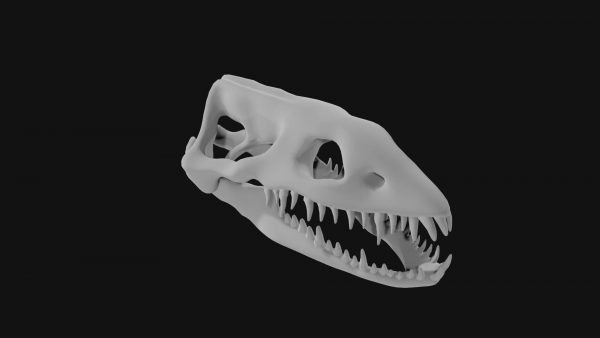 Plesiosaur skull 3d model